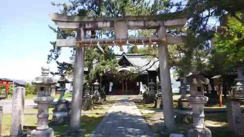  松阜神社の鳥居