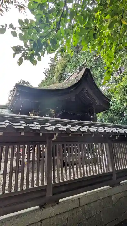 若松神社(滋賀県)