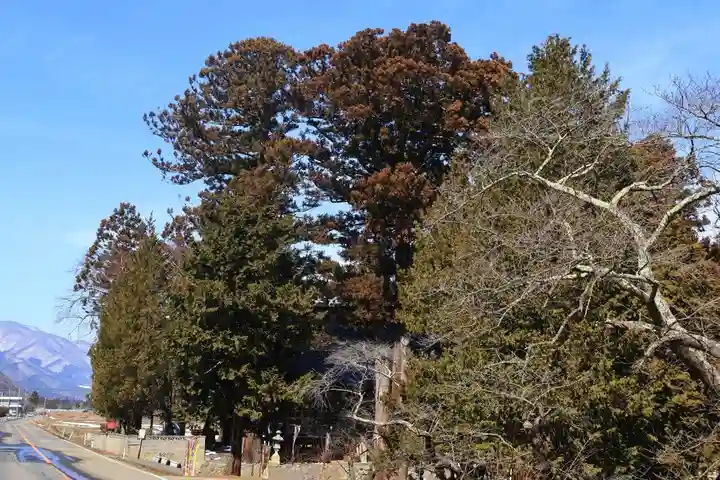 高司神社〜むすびの神の鎮まる社〜の景色