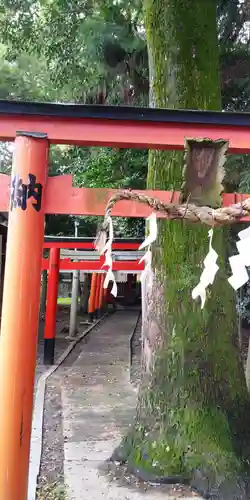 立木神社の鳥居