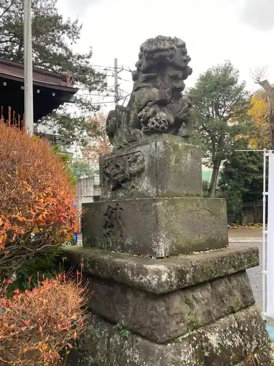高円寺天祖神社の狛犬