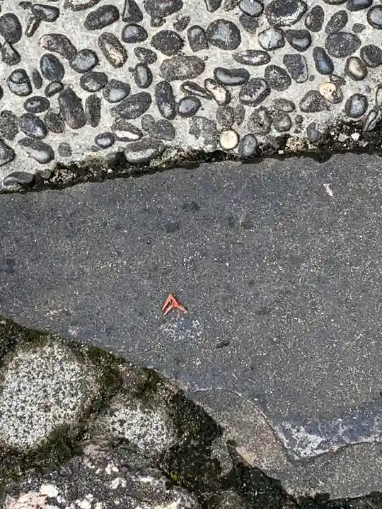 久度神社の自然