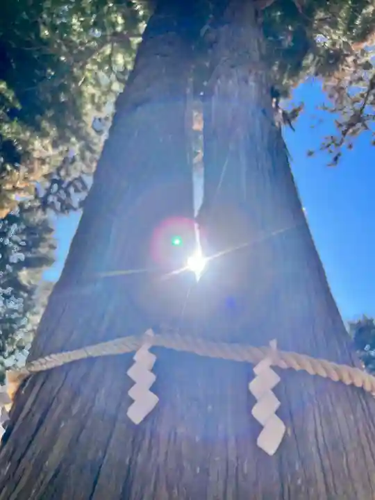 高司神社〜むすびの神の鎮まる社〜(福島県)