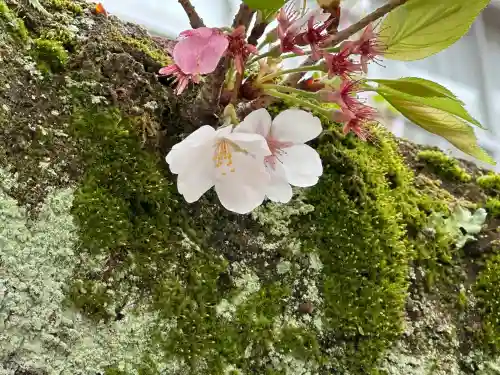 貴布禰神社(静岡県)