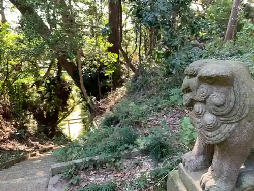 妙見神社の狛犬