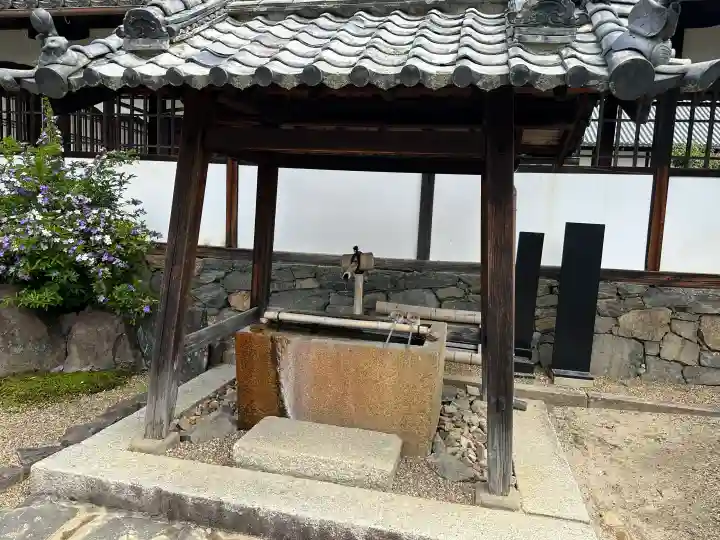 興聖寺(興聖寶林禅寺)の{uncategorized: "未分類", other: "その他", undefined: "問題あり", building: "その他建物", grave: "お墓", sacred_gate: "鳥居", guardian: "狛犬", statue: "像", buddha: "仏像", history: "歴史", nature: "自然", garden: "庭園", animal: "動物", pagoda: "塔", temizu: "手水舎", mountain_gate: "山門・神門", sanctuary: "本殿・本堂", subordinate: "末社・摂社", art: "芸術", scenery: "景色", jizo: "地蔵", ema: "絵馬", goshuin: "御朱印", omikuji: "おみくじ", items: "授与品その他", amulet: "お守り", goshuincho: "御朱印帳", eats: "食事", festival: "お祭り", votive_dance: "神楽", shichigosan: "七五三参", wedding: "結婚式", experience: "体験その他", initially: "初詣", around: "周辺", anti_infection: "感染症対策"}