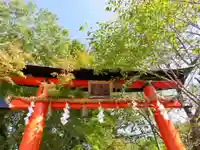 宇治上神社の鳥居