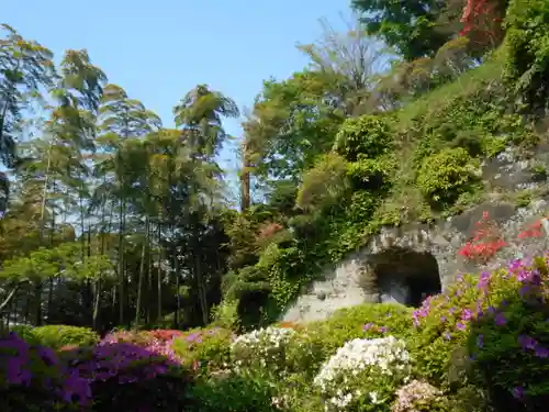 仏行寺（佛行寺）の庭園