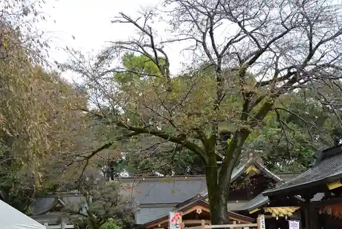 出雲大社相模分祠(神奈川県)