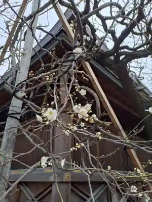 湯島天満宮(東京都)