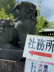 札幌護國神社の狛犬