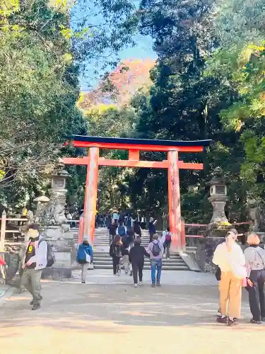 春日大社(奈良県)