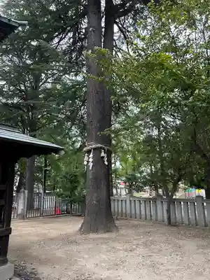 住吉神社(山梨県)