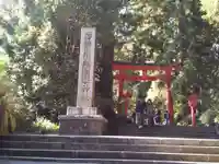 箱根神社の鳥居