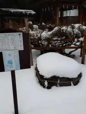 土津神社｜こどもと出世の神さま(福島県)