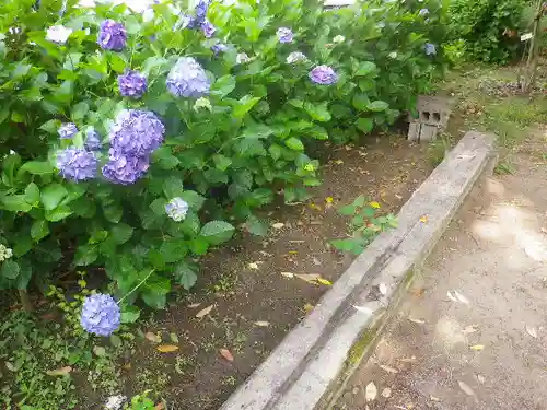 甘縄神明神社（甘縄神明宮）の庭園