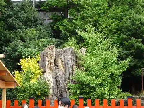 鶴岡八幡宮の自然