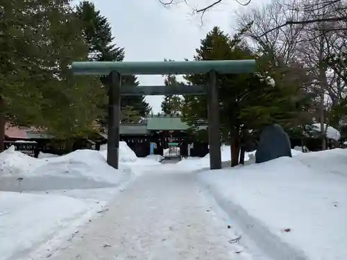 琴似神社の鳥居