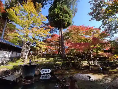 永源寺の庭園