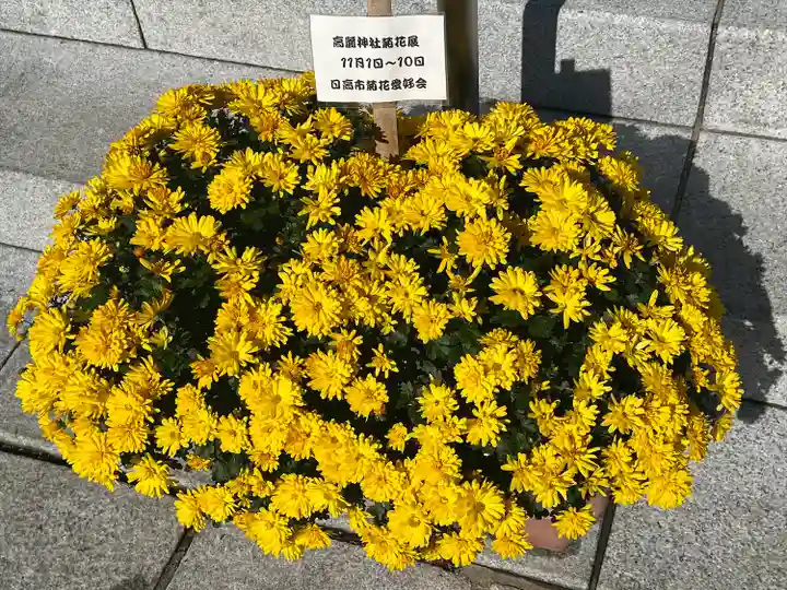 高麗神社(埼玉県)