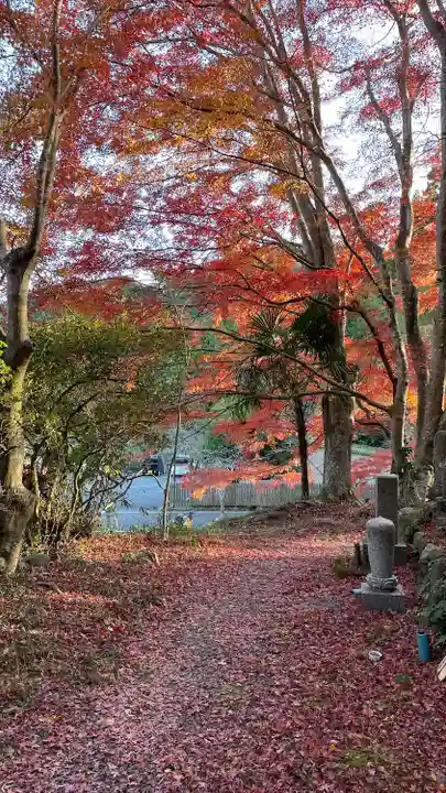 美濃夜神社(三重県)