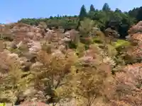 如意輪寺の景色