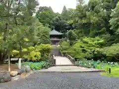 知恩院(京都府)