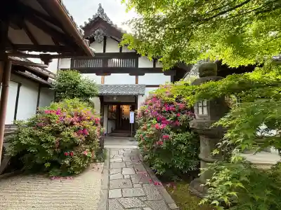 光明院(光明禅院)(京都府)