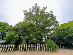 多坐弥志理都比古神社(奈良県)