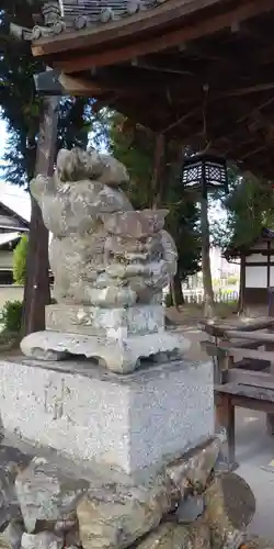 御霊神社の狛犬