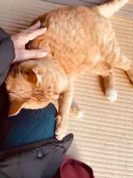 祥龍山 金剛寺(神奈川県)