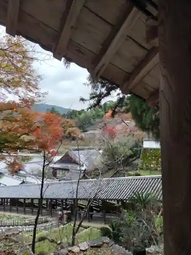 長谷寺(奈良県)