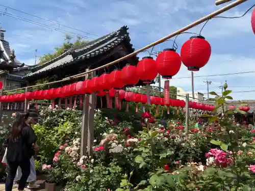 おふさ観音（観音寺）の{uncategorized: "未分類", other: "その他", undefined: "問題あり", building: "その他建物", grave: "お墓", sacred_gate: "鳥居", guardian: "狛犬", statue: "像", buddha: "仏像", history: "歴史", nature: "自然", garden: "庭園", animal: "動物", pagoda: "塔", temizu: "手水舎", mountain_gate: "山門・神門", sanctuary: "本殿・本堂", subordinate: "末社・摂社", art: "芸術", scenery: "景色", jizo: "地蔵", ema: "絵馬", goshuin: "御朱印", omikuji: "おみくじ", items: "授与品その他", amulet: "お守り", goshuincho: "御朱印帳", eats: "食事", festival: "お祭り", votive_dance: "神楽", shichigosan: "七五三参", wedding: "結婚式", experience: "体験その他", initially: "初詣", around: "周辺", anti_infection: "感染症対策"}