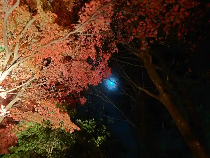 教林坊(滋賀県)