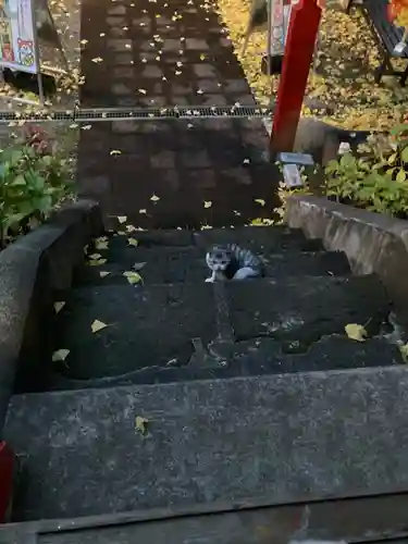 鹿角八坂神社の御朱印