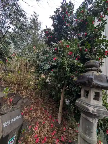 愛宕神社(福島県)