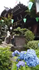 白山神社(東京都)