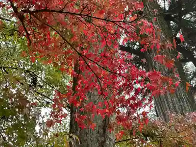 一乗寺(兵庫県)