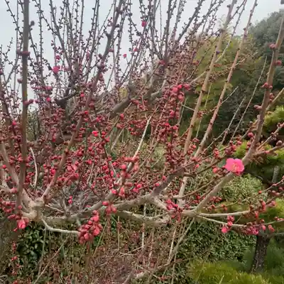 加佐美神社(岐阜県)
