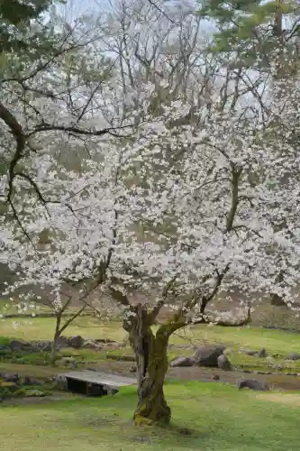 蒼柴神社(新潟県)