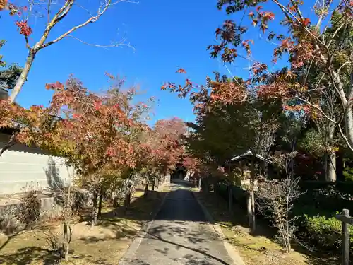 仁和寺(京都府)