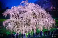 稲荷神社(福島県)