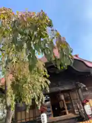 大鏑神社の本殿