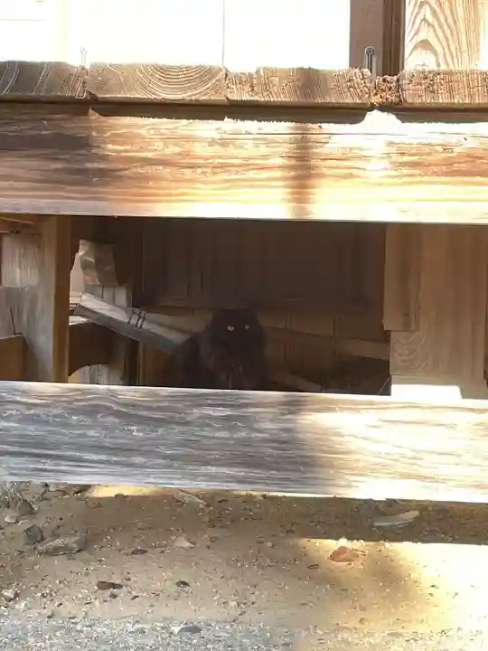 密蔵院(三重県)