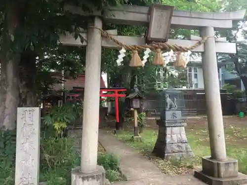 羽根木神社の鳥居