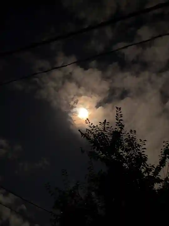 相模原氷川神社の自然