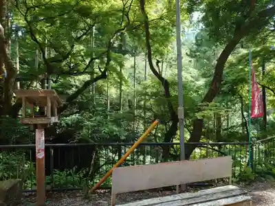 観音院のその他建物