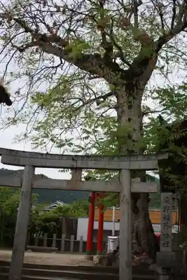 染野稲荷神社(奈良県)