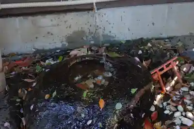 本宗稲荷神社の手水舎