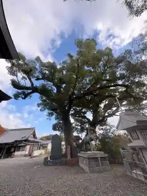 津田八幡神社(徳島県)